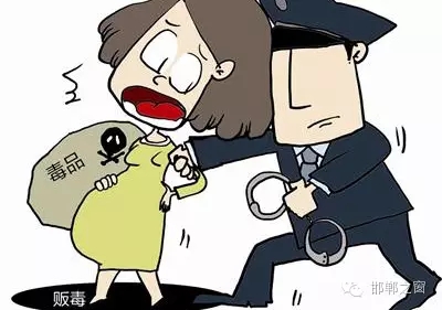 2016年初，涉縣警方查獲一起涉毒案件，鑒于該案涉案人員多、毒品交易量大，涉縣警方立即將案情上報(bào)，被公安部確立為“目標(biāo)-2016-314”號毒品案件。涉縣警方成立專案組，經(jīng)過多方追查，先后抓獲團(tuán)伙人員13名，繳獲毒品5349克，并查明上線“濮姐”的真實(shí)身份為陳某。